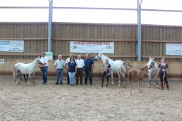 Concours foals au Rond Pré