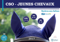 CSO JEUNES CHEVAUX