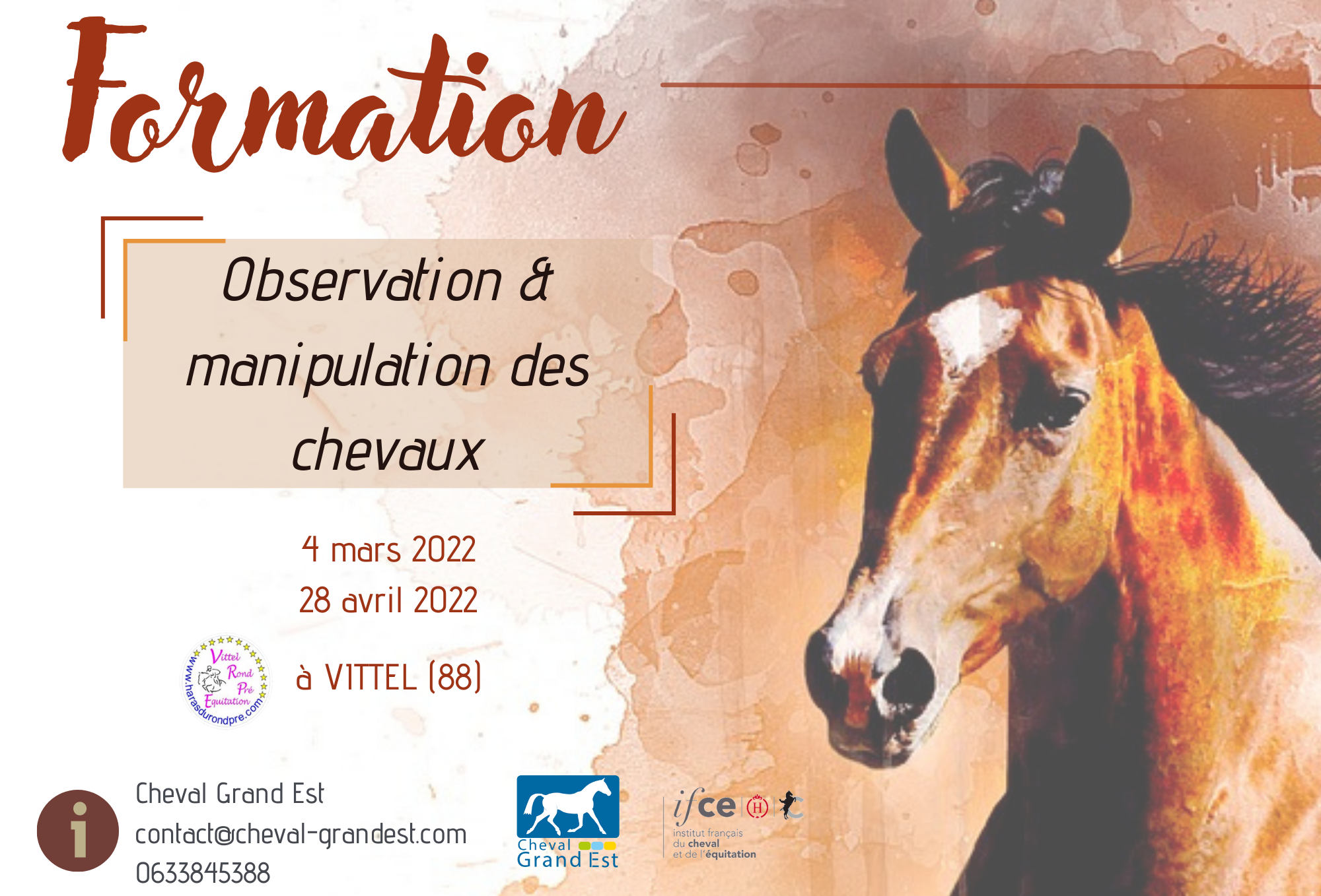 Formations pour les professionnels de la réadaptation assistée par le cheval .