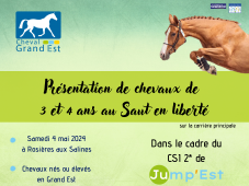 Présentation de chevaux de 3 et 4 ans - CSI2* Jum...