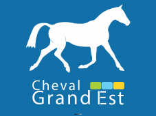 Assemblée Générale - Cheval Grand Est