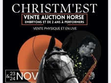 Christm'Est Auction