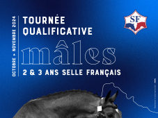 Qualif Mâles - SF