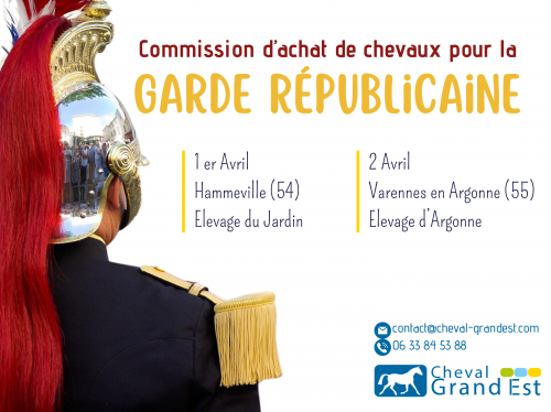 Commission d'achat de chevaux pour la Garde...