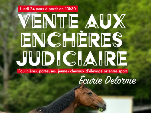 Vente aux enchères judiciaire - Ecurie Delorme