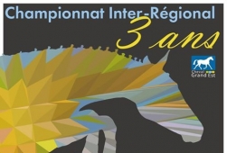 Interregional 3 ans & Foals