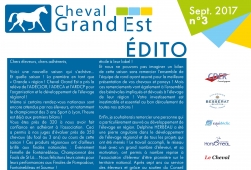 Newsletter n°3