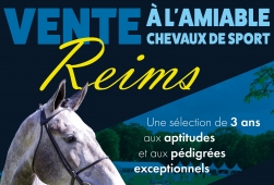 Vente de Reims - LIVE VIDEO