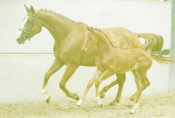 Concours BUZANCY - GRANDPRE