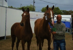 Retour sur le concours régional des Foals