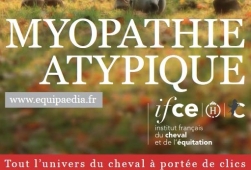 Myopathie Atypique