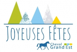 Joyeuses Fêtes