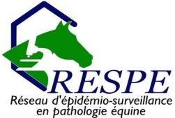 RESPE : Vigilance renforcée - Grippe équine