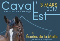 Salon des étalons de Reims 2019