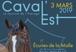 Salon des étalons de Reims 2019