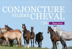 Conjoncture Filière Cheval N°34