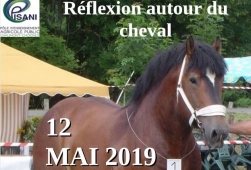 Des chevaux, des hommes et des territoires