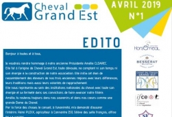 Newsletter N°1 - 2019