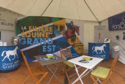 Cheval Grand Est au Jumping International de Reims