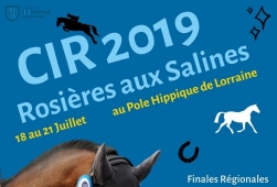 CIR 2019