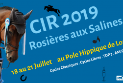 Journal du CIR 2019