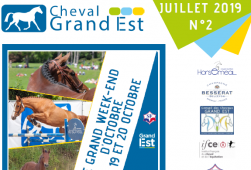 Newsletter N°2 - 2019