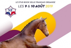 Championnat des Foals - Saint Lô