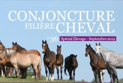 Conjoncture Filière Cheval N°36