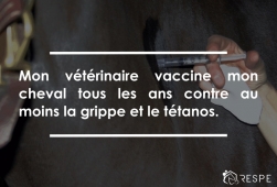 Faisons le point - Les Vaccinations