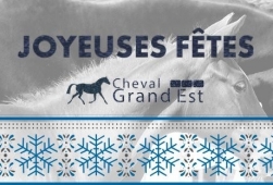 Joyeuses Fêtes de fin d’année