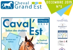 Newsletter N°3 - 2019