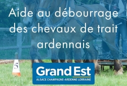 Aide au débourrage