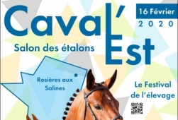 Caval'Est - Exposants et Etalons