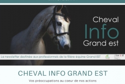 Cheval Info Grand Est N°1