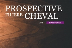 Note prospective Filière Cheval N°8