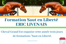 Formation Saut en Liberté - Eric Livenais