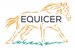 Observatoire économique 2019 EquiCER