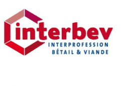 Covid-19 : Interbev