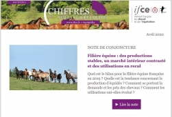 Chiffres sur la Filière Equine