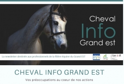 Cheval Info Grand Est N°2