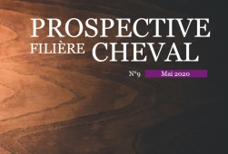 Note prospective Filière Cheval N°9