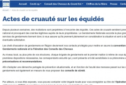 Actes de cruauté sur des équidés