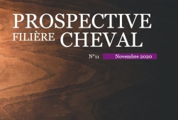 Note prospective Filière Cheval N°11