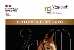 Chiffres Clés 2020