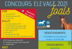 Calendrier 2021 - Foals & Poulinières suitées