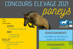 Calendrier 2021 - Poneys 1, 2 & 3 ans