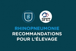 Rhinopneumonie