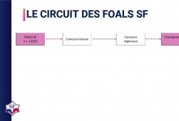 ZOOM - Circuit Foals Selle Français