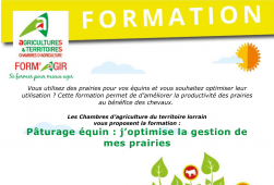 Formation Pâturage équin : j'optimise la...