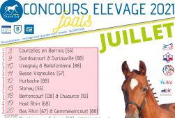 Programme Foals - Juillet